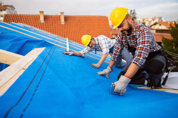 Best Roof Leak Repair  in Long Beach, IN