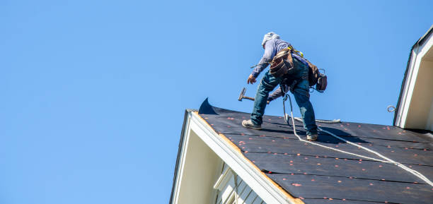 Best Commercial Roofing Services  in Long Beach, IN